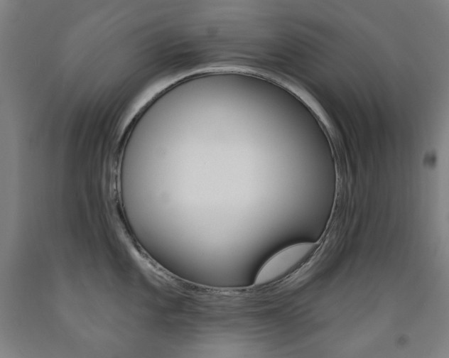 X0000093261101200709261613