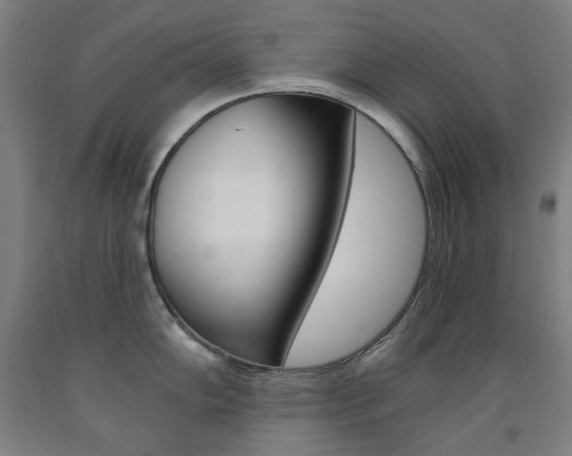 X0000093261102200709261613