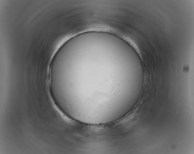 X0000093261103200709261613