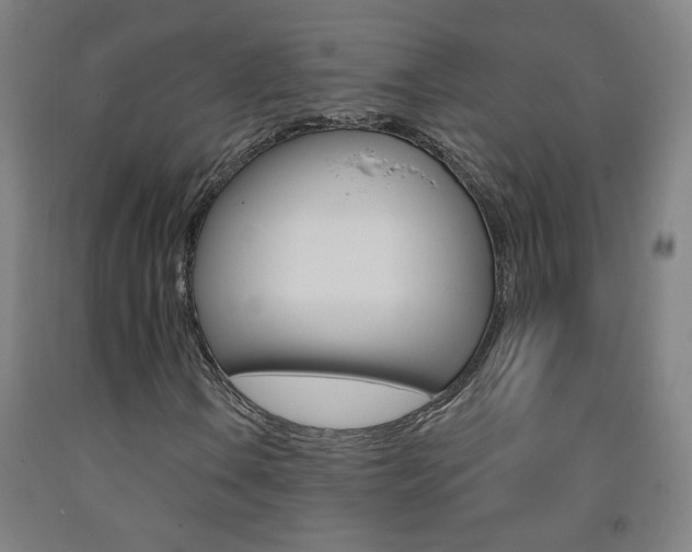 X0000093261106200709261612