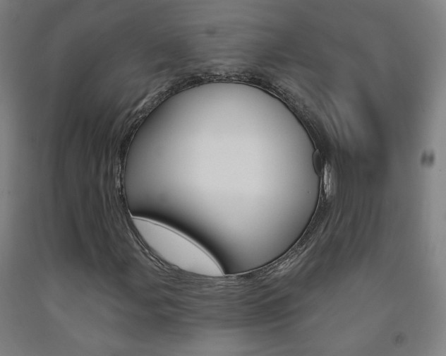 X0000093261107200709261612