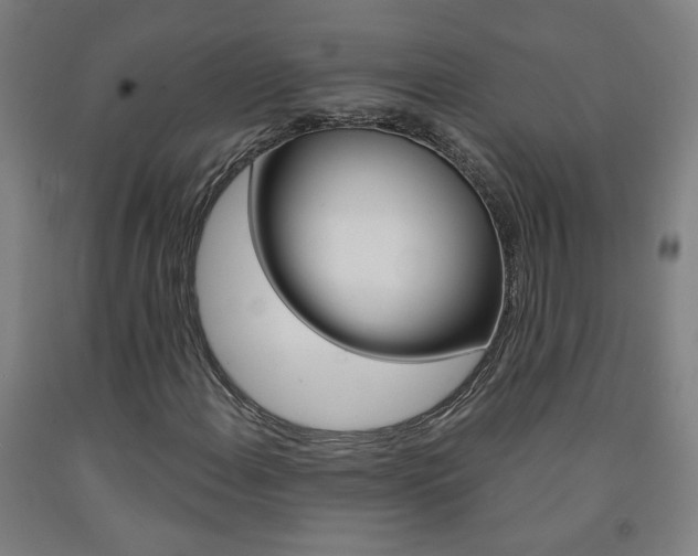 X0000093261108200709261612