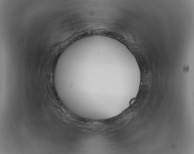 X0000093261109200709261612