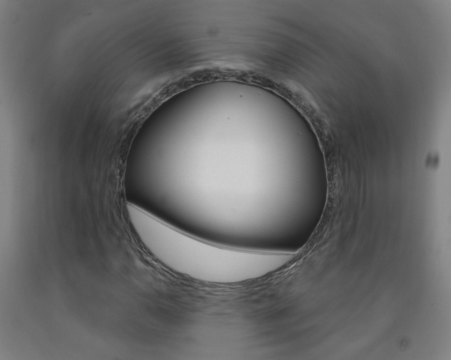 X0000093261110200709261612