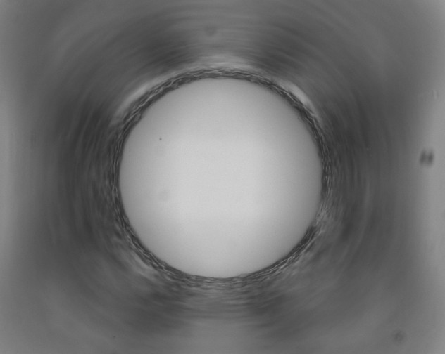 X0000093261112200709261612