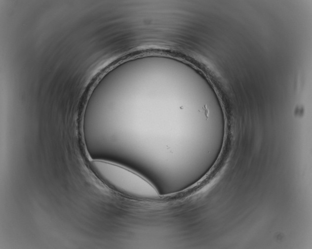 X0000093261113200709261612