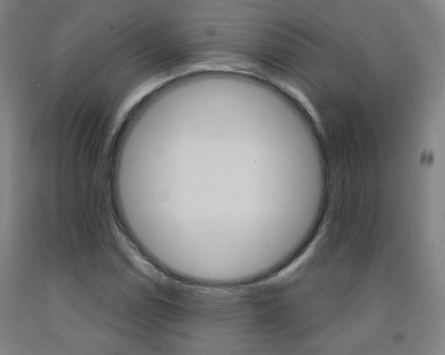 X0000093261114200709261612
