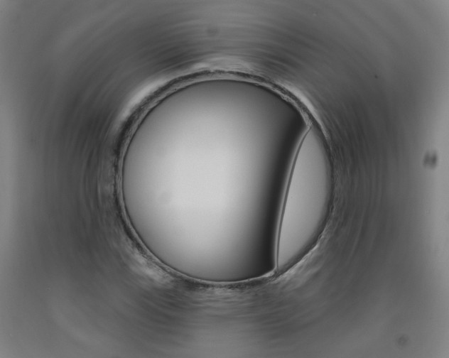 X0000093261115200709261612