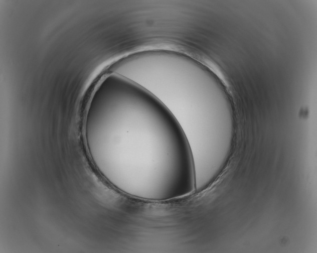 X0000093261116200709261612