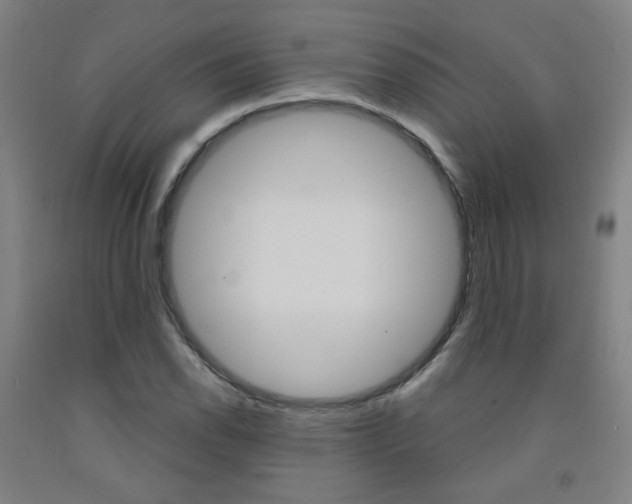 X0000093261118200709261612