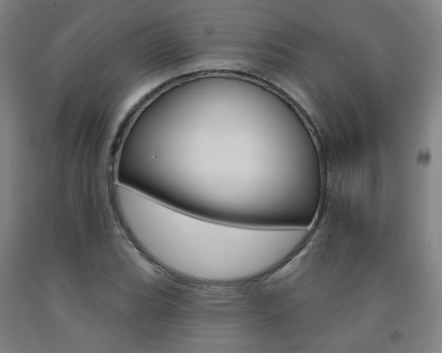 X0000093261119200709261612