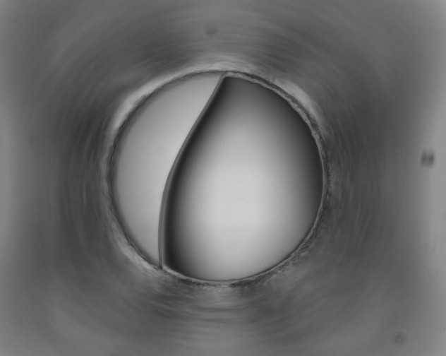 X0000093261120200709261612