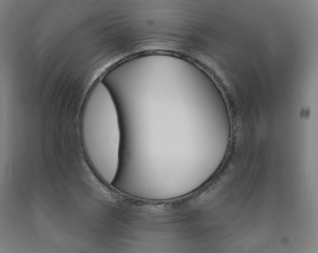 X0000093261121200709261612