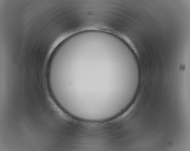 X0000093261122200709261612