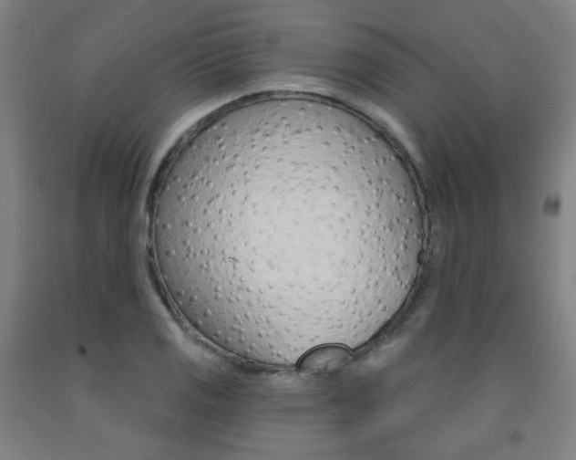 X0000093261125200709261612