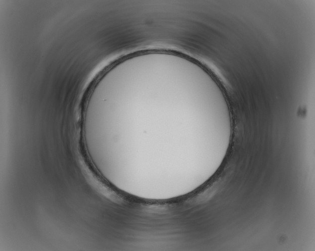 X0000093261126200709261612