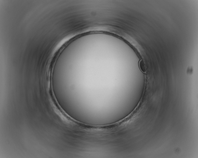 X0000093261127200709261612