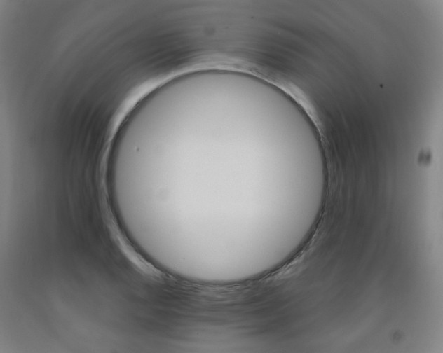X0000093261128200709261612