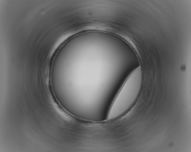X0000093261131200709261612