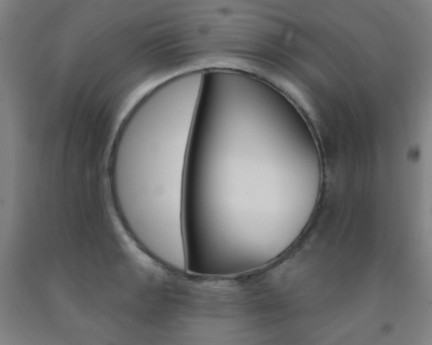 X0000093261133200709261612