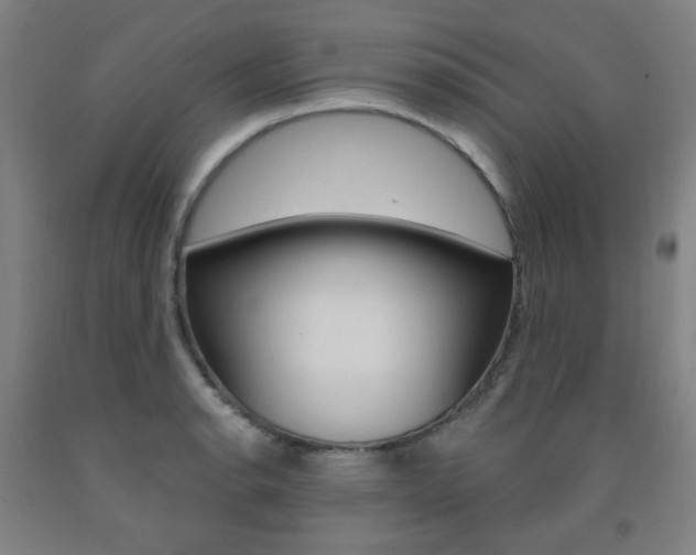 X0000093261134200709261612