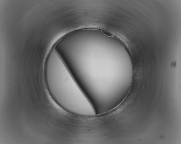 X0000093261135200709261612
