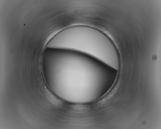 X0000093261137200709261612