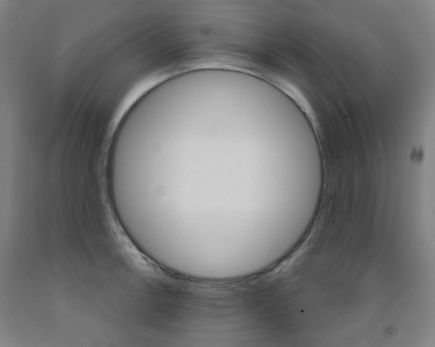 X0000093261138200709261612