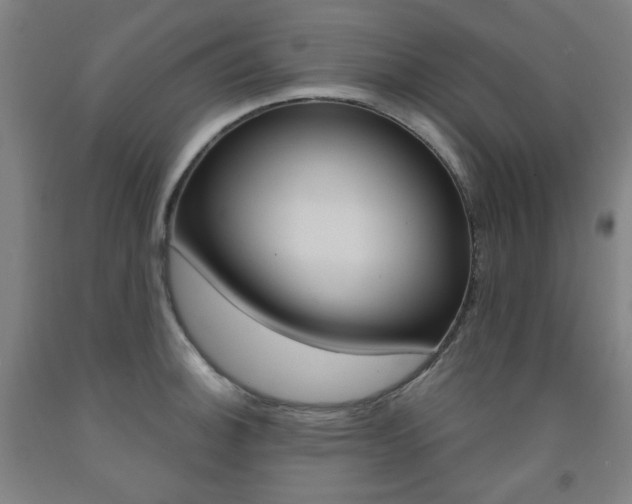 X0000093261140200709261613