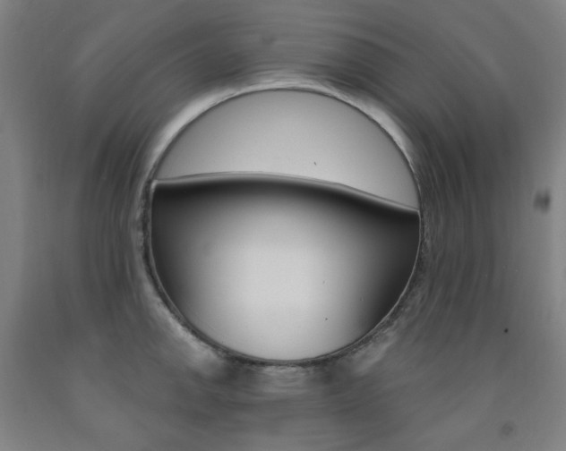 X0000093261142200709261613