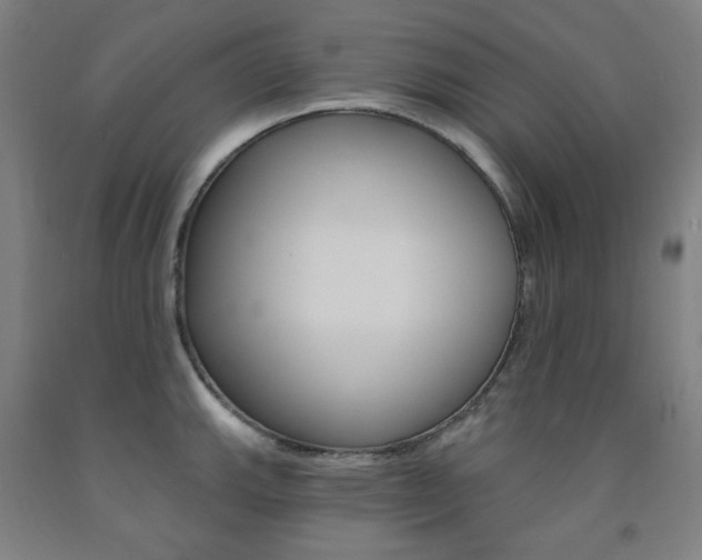 X0000093261143200709261613