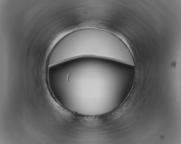 X0000093261147200709261613