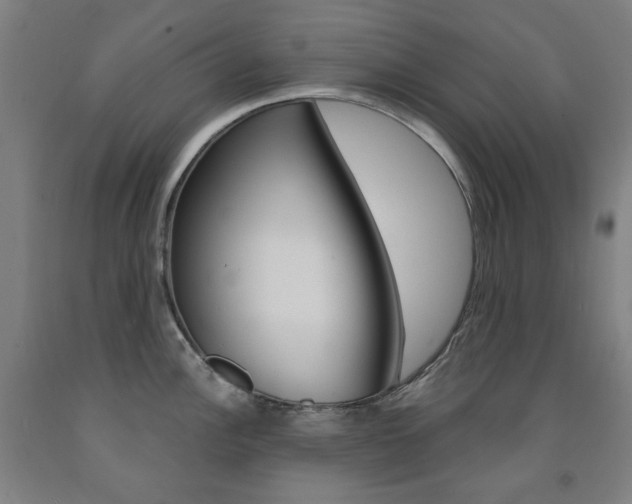 X0000093261148200709261613