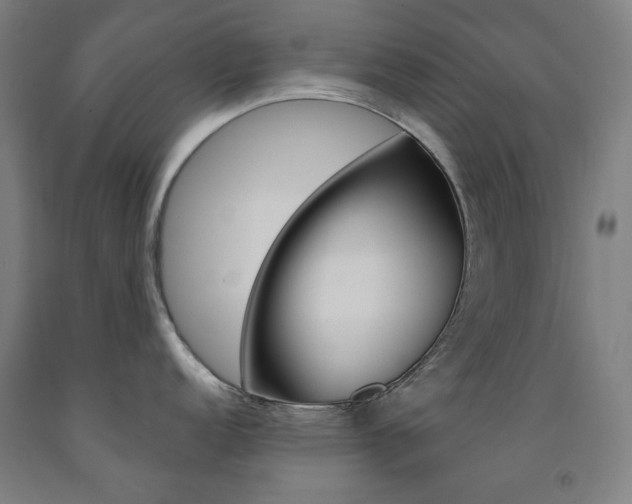 X0000093261152200709261613