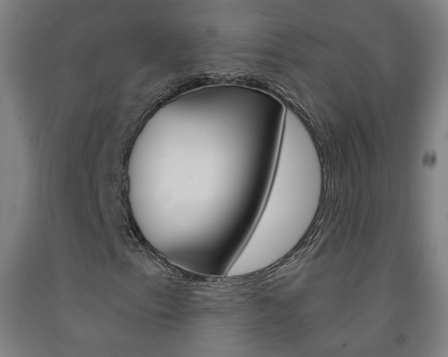 X0000093261153200709261612