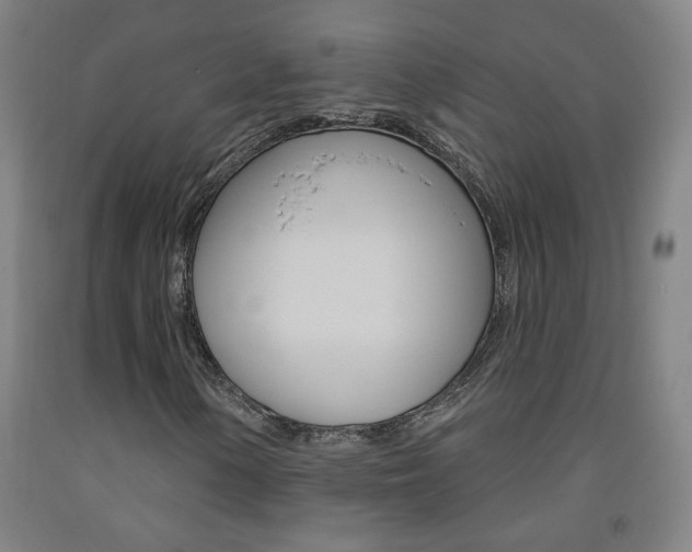 X0000093261154200709261612