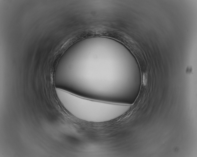 X0000093261155200709261612