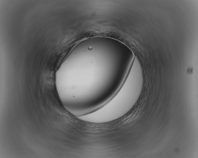 X0000093261156200709261612