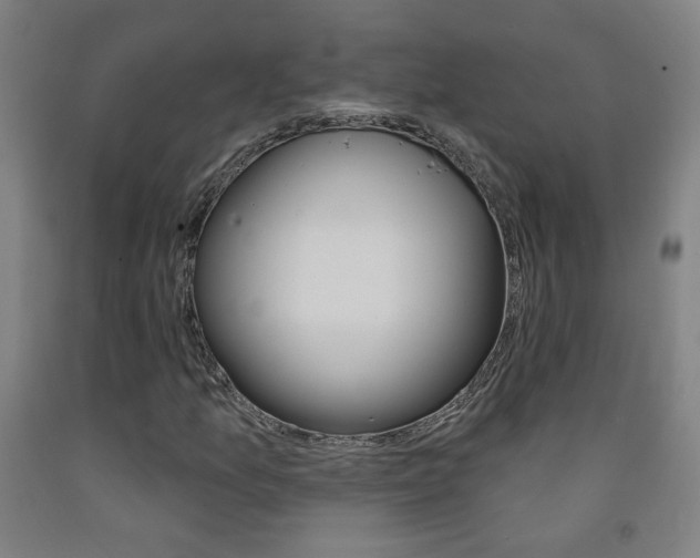 X0000093261157200709261612