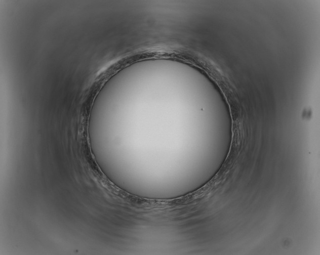 X0000093261158200709261612
