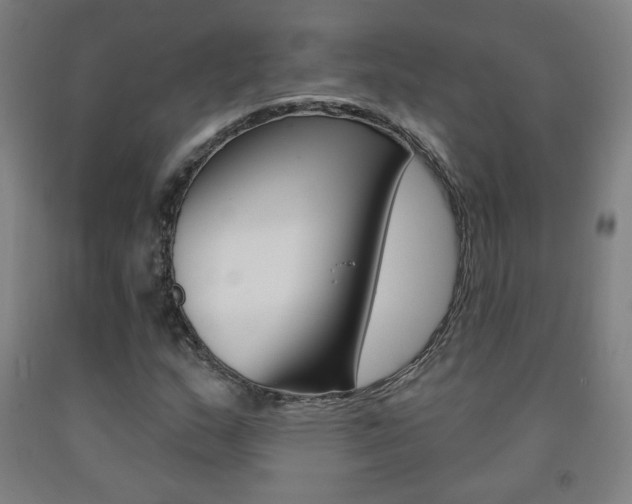 X0000093261159200709261612