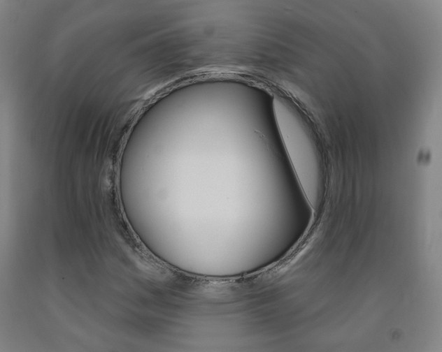 X0000093261161200709261612