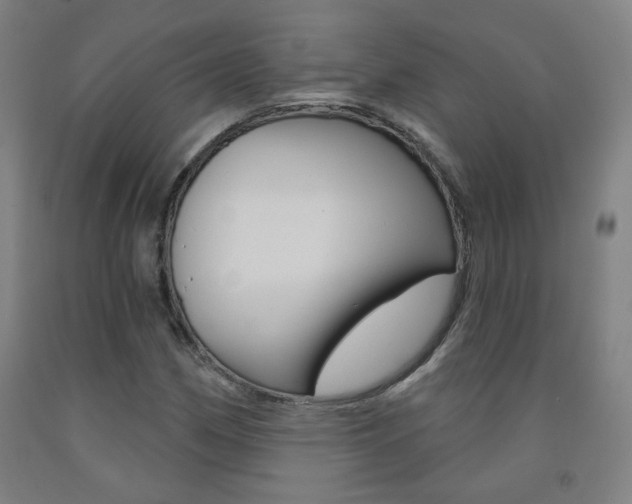 X0000093261162200709261612