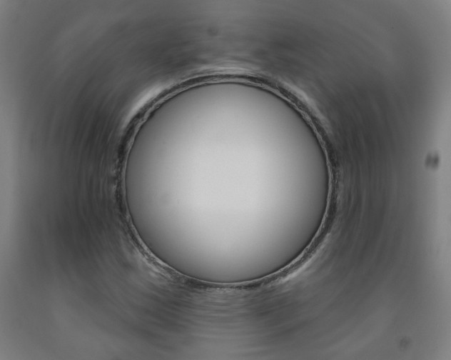 X0000093261163200709261612