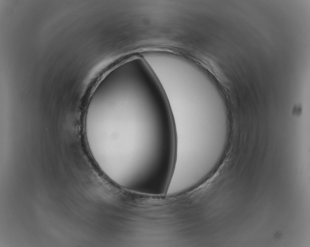X0000093261164200709261612