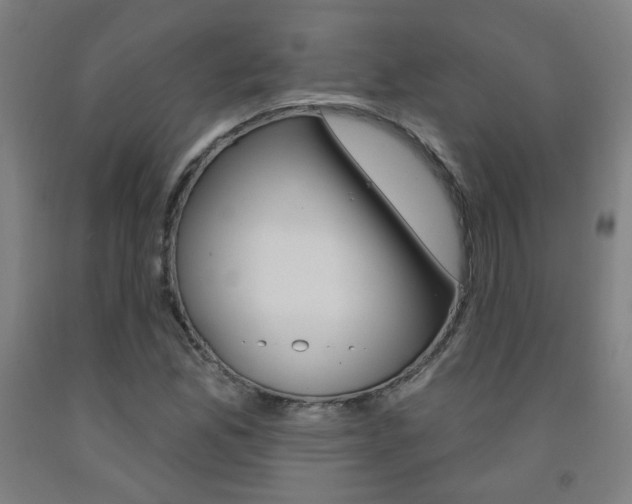 X0000093261165200709261612