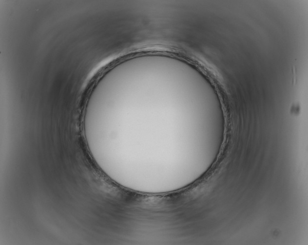 X0000093261166200709261612