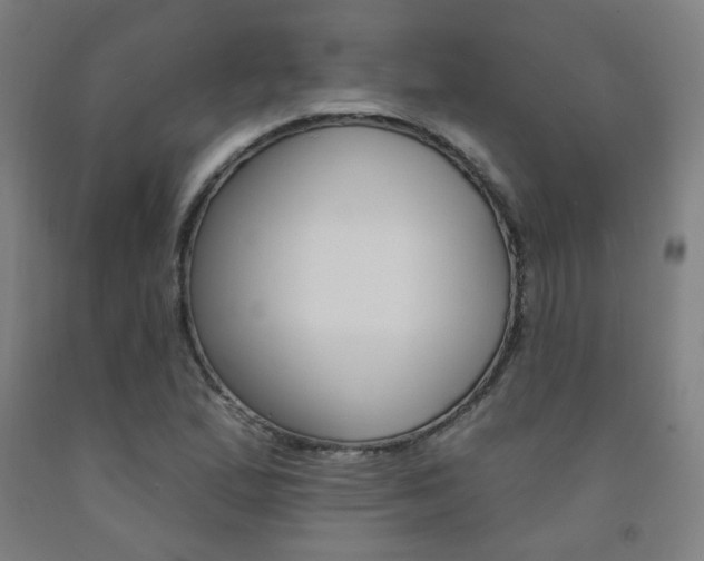 X0000093261167200709261612