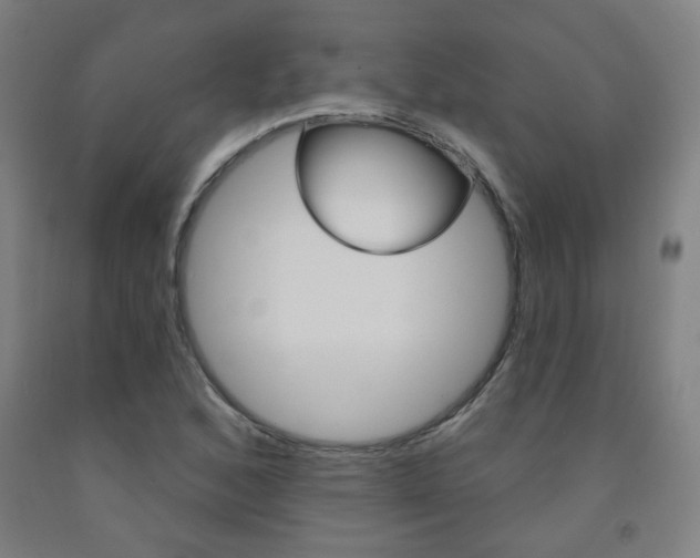X0000093261168200709261612
