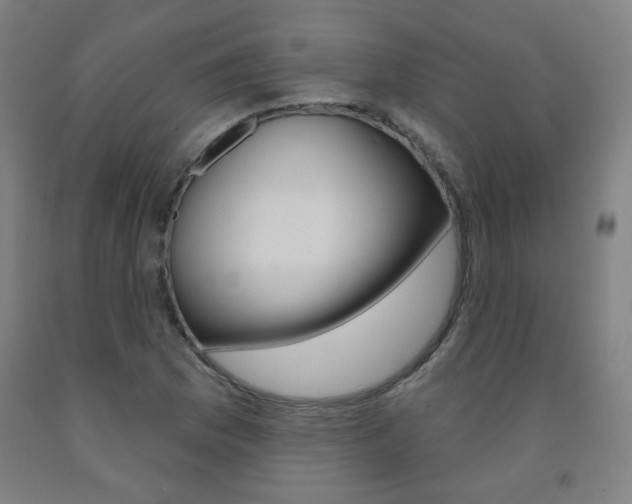 X0000093261169200709261612